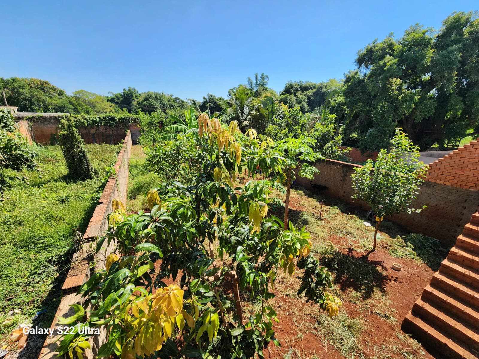 Casa Avenida Armando Penteado, n737- Centro