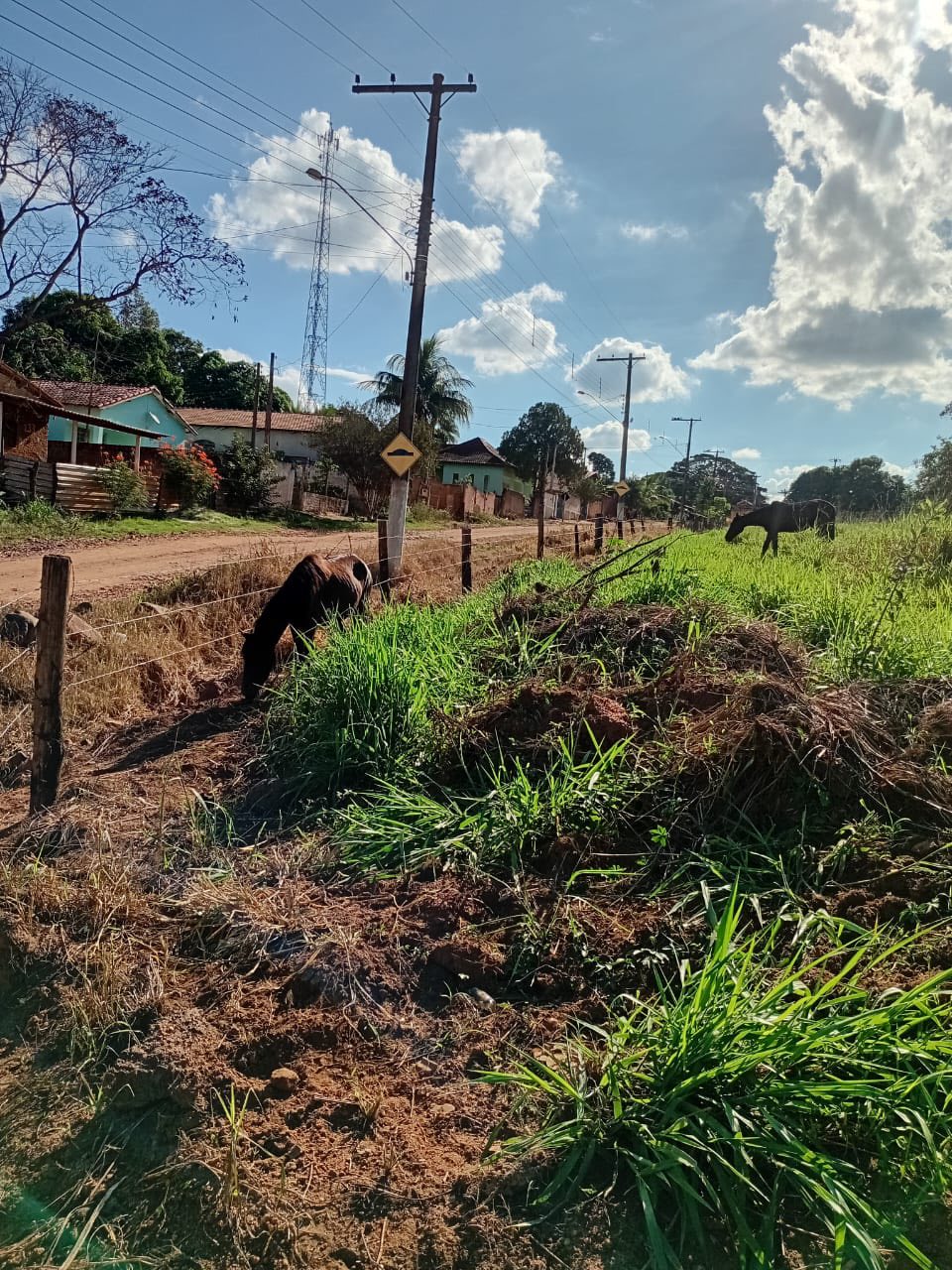 DOIS TERRENOS EM SÃO PEDRO DOS MORRINHOS
