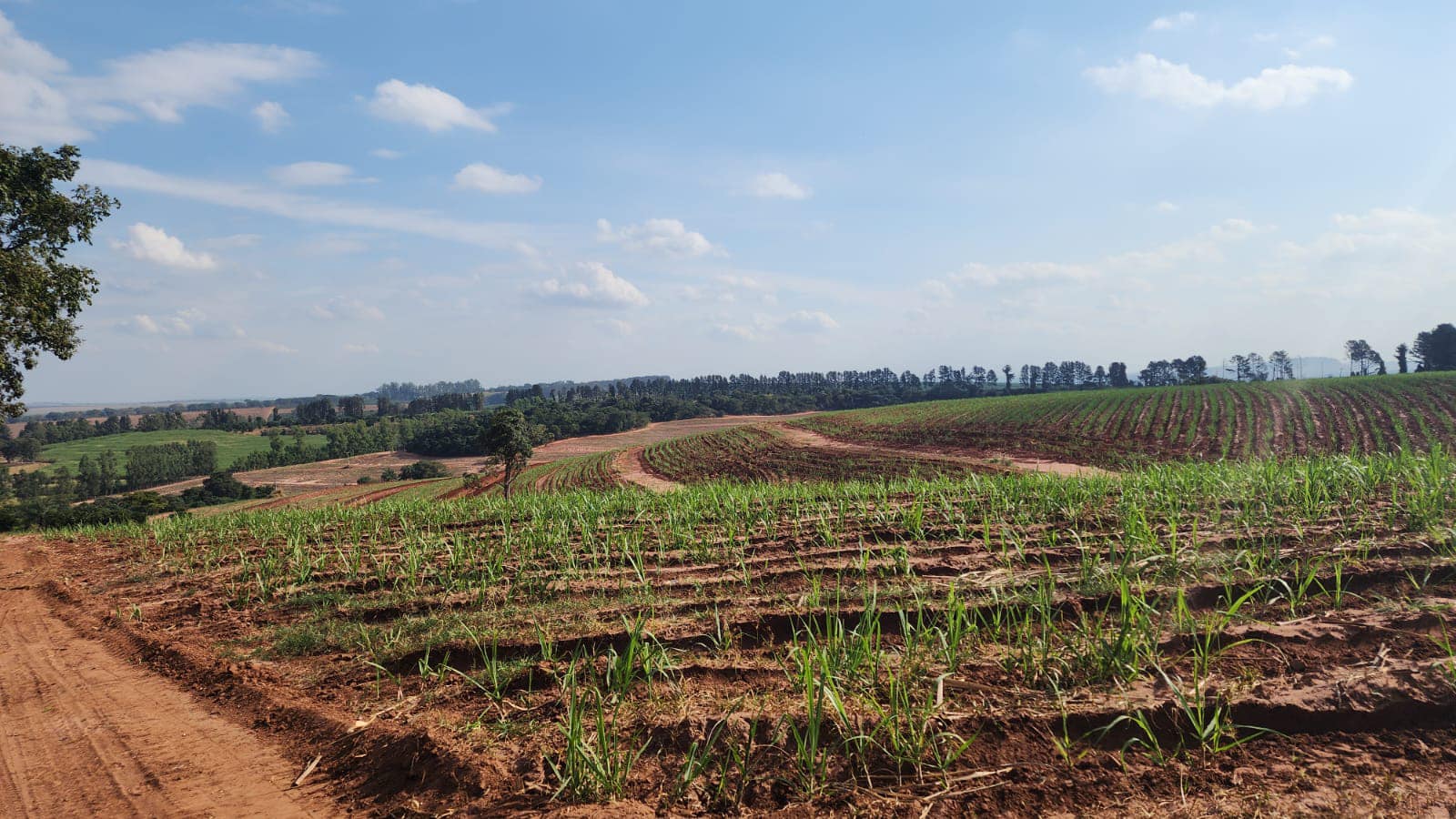 GLEBA DE TERRA Sítio Ponte Alta , cidade de Casa Branca