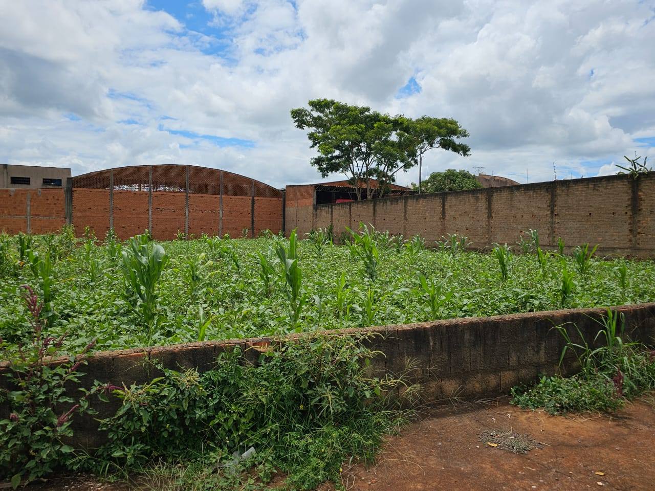 Terreno Rua Celio Lunardi , n151, Lote 22 da quadra B- Distrito Industrial. Pedro Valdomiro Pires Barbosa