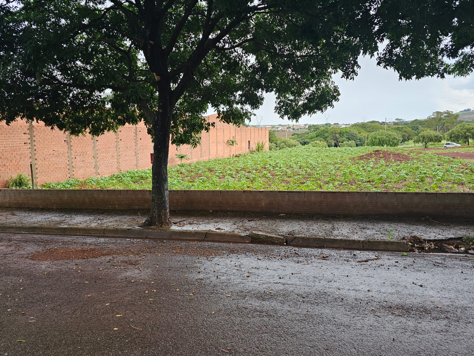 Terreno Rua Mario Lunardi, n331, Lote07 da quadra D- Centro Empresarial Mário Dedini Ometto