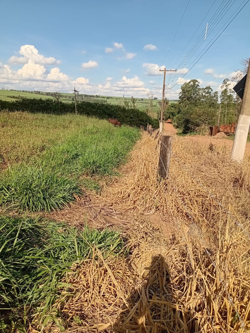 DOIS TERRENOS EM SÃO PEDRO DOS MORRINHOS