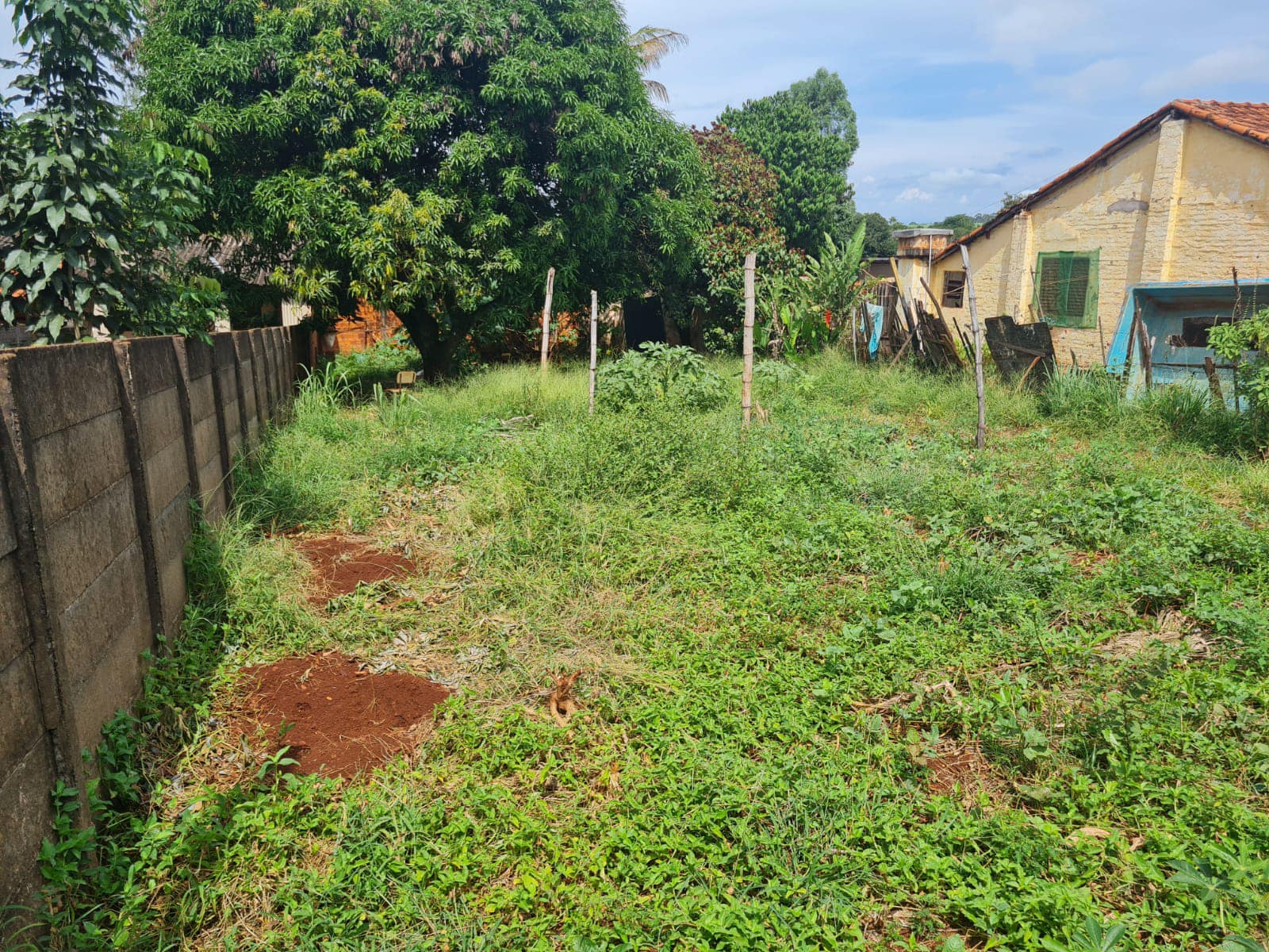 Terreno Avenida Paulista, n 100- Vila Andrade