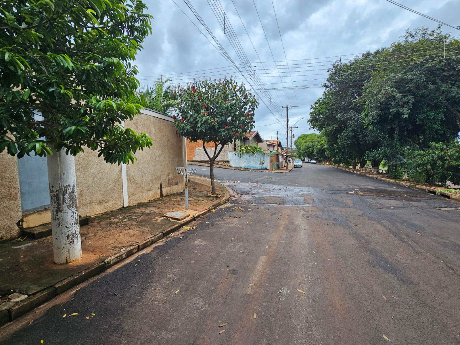 Casa na Rua Elizeu Bortolotto, n325- Jardim Das Palmeiras