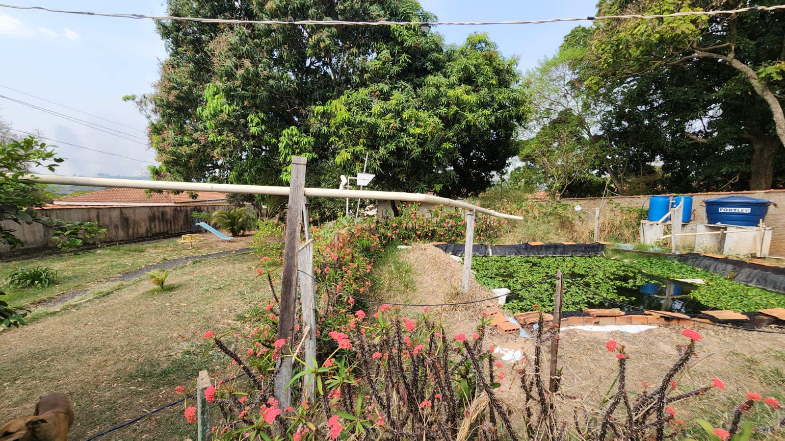 Casa Rua Honorato Gonçalves Campos, n423