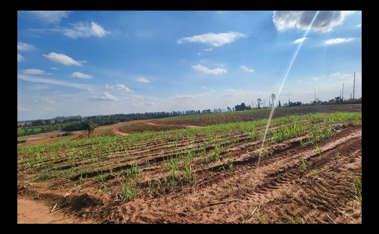 GLEBA DE TERRA Sítio Ponte Alta , cidade de Casa Branca