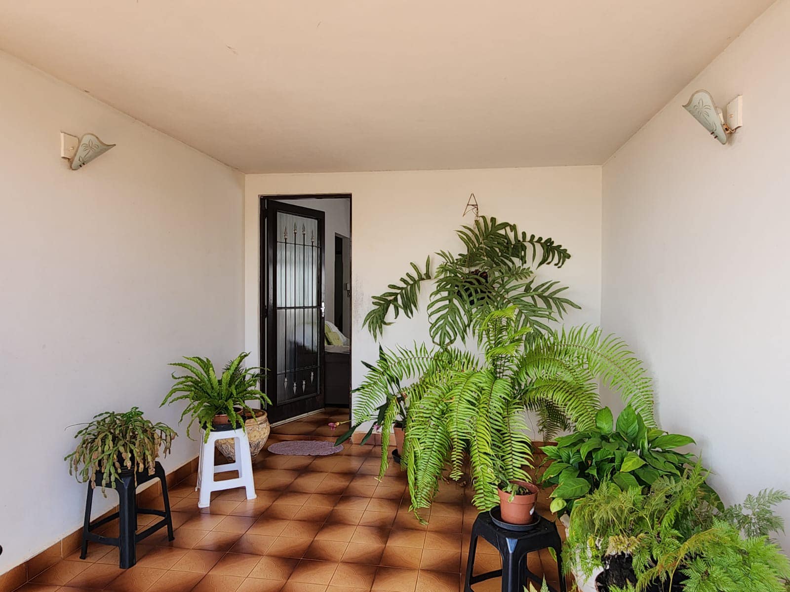 Casa Rua José Gândara Mendes n 29- Jardim Centenário