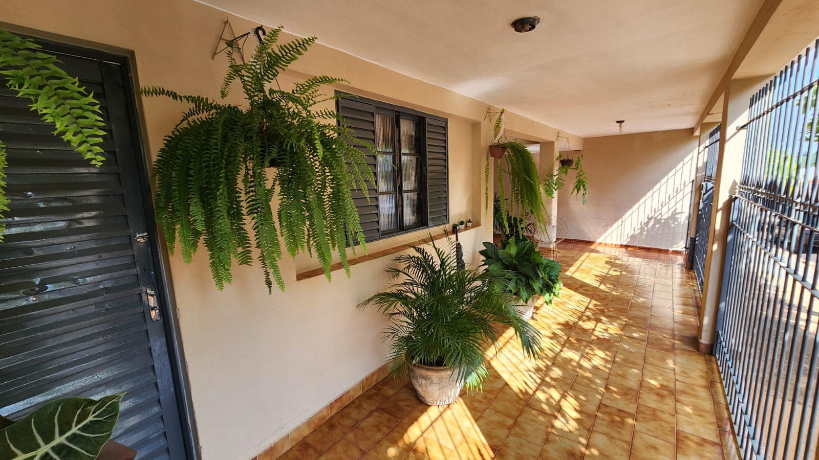 Casa Rua Beatriz, n 463- Jardim São Carlos