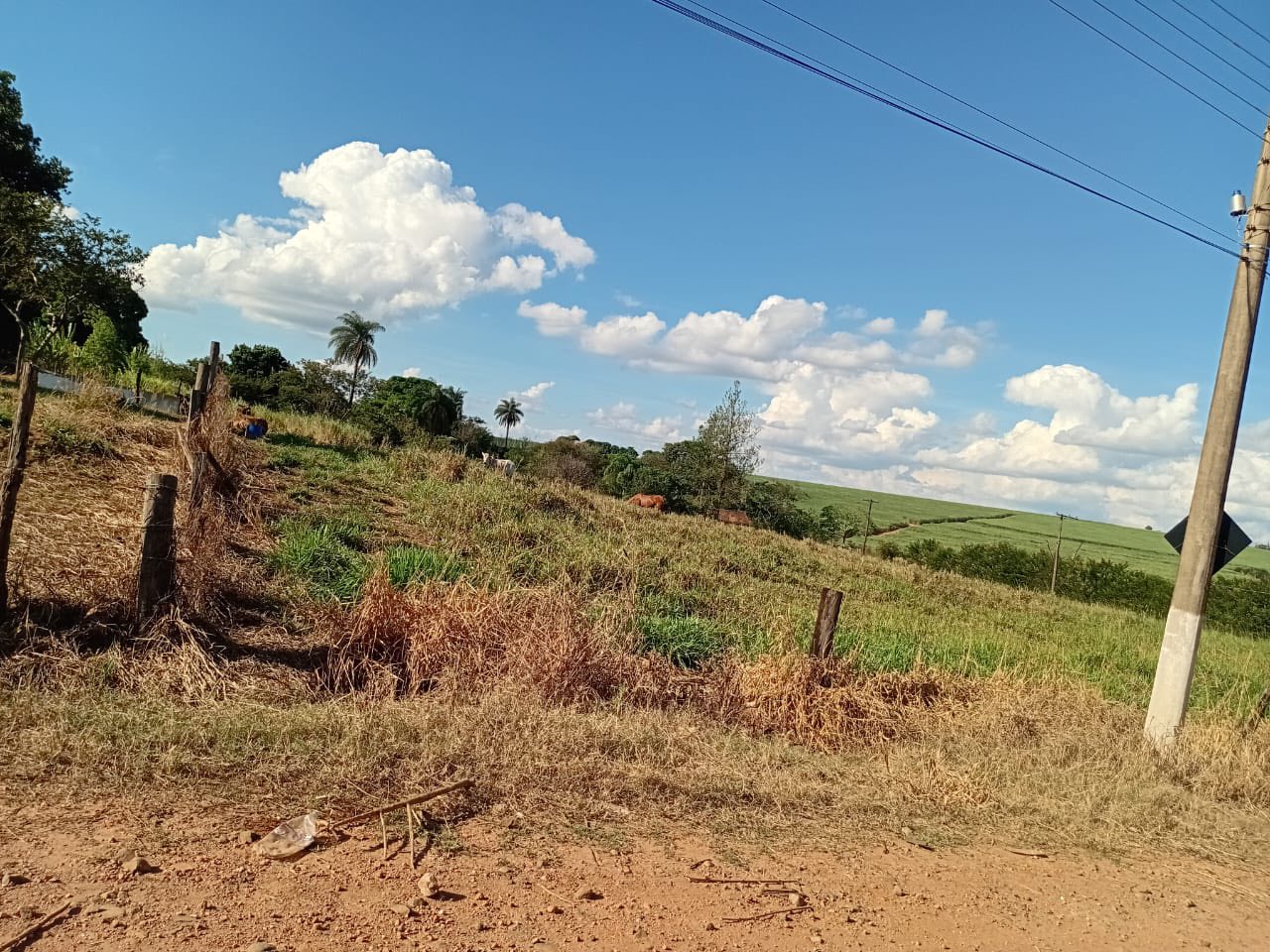 DOIS TERRENOS EM SÃO PEDRO DOS MORRINHOS