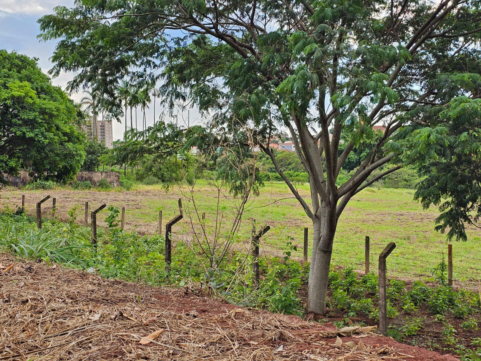 CHÁCARA SANTO ANTÔNIO, Rua Tenente Pinto , n 463- Centro