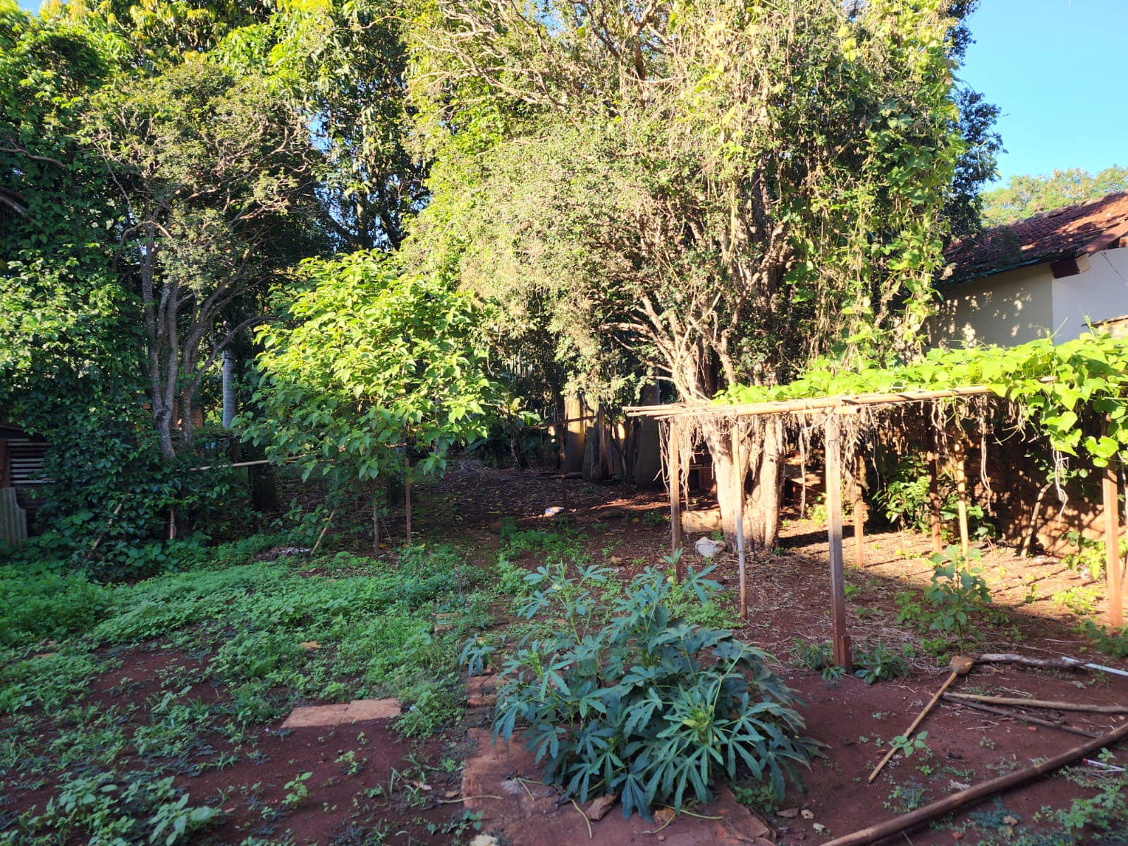 CHÁCARA COM DUAS CASAS RESIDENCIAL, Próximo ao batalhão da Polícia Militar ,Rua Rui Barbosa , n175-Centro